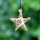 Multicolor Beach Theme Assorted Starfish Christmas Tree Ornaments Set of 10 Pcs